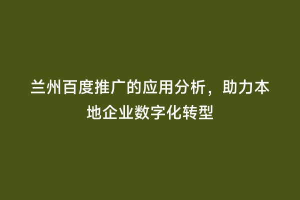 兰州百度推广的应用分析，助力本地企业数字化转型